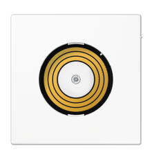 Центральная плата питания PLLSDMSWW Jung