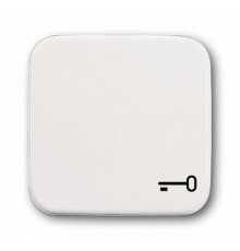 Клавиша для механизма 1-клавишного выкл./перекл./кнопки с символом "КЛЮЧ", серия Reflex SI, цвет альпийский белый  1731-0-0959   2CKA001731A0959  A