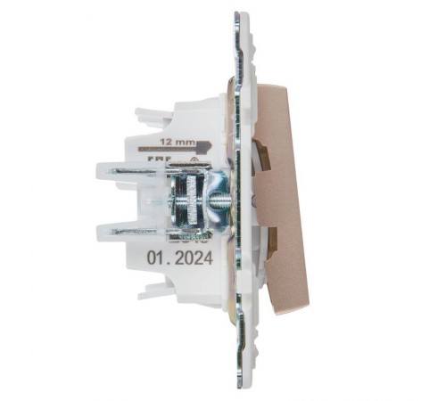 SKANDY Выключатель 2-клавишный проходной 10А SK-V05Sa песочный  SK-V22-0-10-K98  IEK