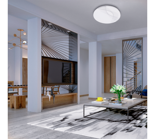 Светильник светодиодный декоративный бытовой PPB WAVE 24w 6500K IP20 D260*55  .5024946  Jazzway