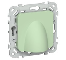 FLITE Вывод кабеля КВ-ФлФ фисташковый  FI-VK10-0-K93  IEK