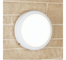 Светильник пылевлагозащищенный для ЖКХ LTB51 LED 15W 4200K 1350Лм IP65 круг белый  a048704  Elektrostandard