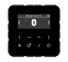 Цифровое радио DAB + с поддержкой Bluetooth DABCDBTSW Jung