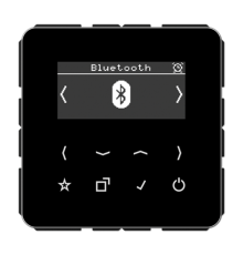 Цифровое радио DAB + с поддержкой Bluetooth DABCDBTSW Jung