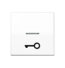 Клавиша для выключателя с окошком для подсветки и символом "замок"; белая AS591T1KO5WW Jung