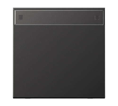 Клавиша с полем для надписи; антрацит  AL2990NAAN  Jung