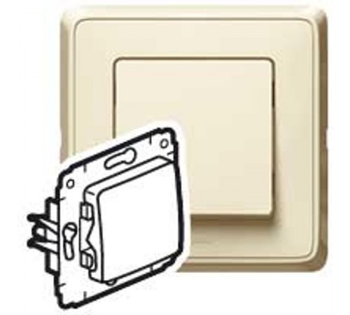 Cariva Сл. кость Выключатель 1-клавишный 16A  773700  Legrand