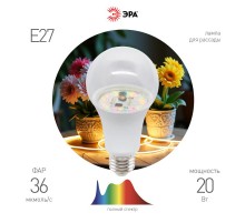 Фитолампа для растений светодиодная  GREEN LINE ФИТО A65-20W-PFR-E27-GR 20 Вт полного спектра  Б0068577  ЭРА
