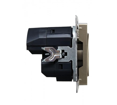 BRITE Розетка с заземлением со шторками 16А с USB A+C 18Вт РЮш11-1-БрШ шампань  BR-R14-16-U22-018-K37  IEK