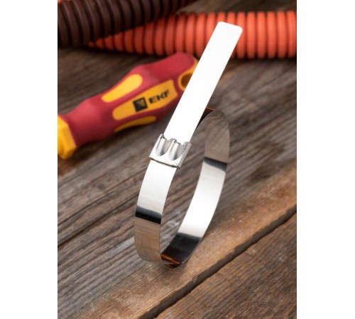 Хомут AISI 304 из нержавеющей стали, 12x290 (100 шт.) FlexLock PROximaplc-fl-tss-304-12x290EKF