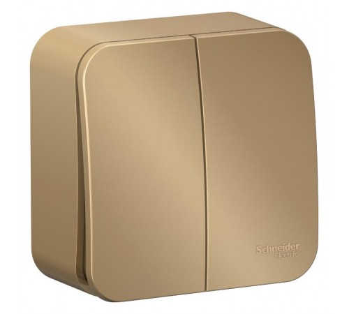 Blanca Титан О/У Выключатель 2-клавишный , 10А, 250B  BLNVA105004  SE