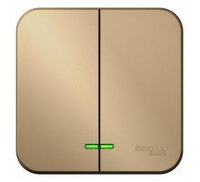 Blanca Титан О/У Выключатель 2-клавишный , 10А, 250B  BLNVA105004  SE