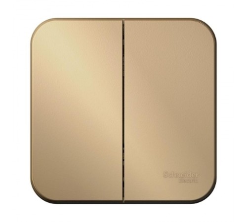 Blanca Титан О/У Выключатель 2-клавишный , 10А, 250B  BLNVA105004  SE