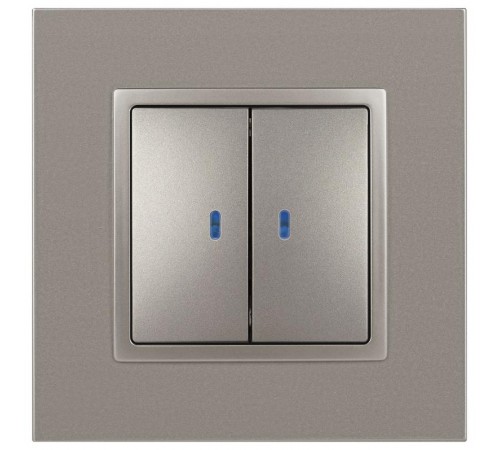 Выключатель Elegance 14-1105-16 двойной с подсветкой, 10АХ-250В, титан  Б0065789  ЭРА