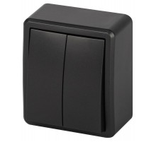 Выключатель ЭРА Эксперт 11-1204-05 двойной IP20 10АХ-250В ОУ Антрацит  Б0063026  ЭРА