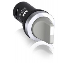 Переключатель C2SS2-10U-10 2-х позиционный серый 1НО (90 градусов) с фиксацией (черное декоративное кольцо)1SFA619201R1017 ABB