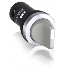 Переключатель C2SS2-10U-10 2-х позиционный серый 1НО (90 градусов) с фиксацией (черное декоративное кольцо)1SFA619201R1017 ABB