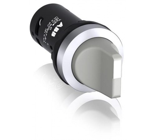 Переключатель C2SS2-10U-10 2-х позиционный серый 1НО (90 градусов) с фиксацией (черное декоративное кольцо)1SFA619201R1017 ABB