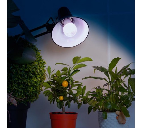 Светильник светодиодный для растений FITO-11W-Ra90-E27  Б0050603  ЭРА