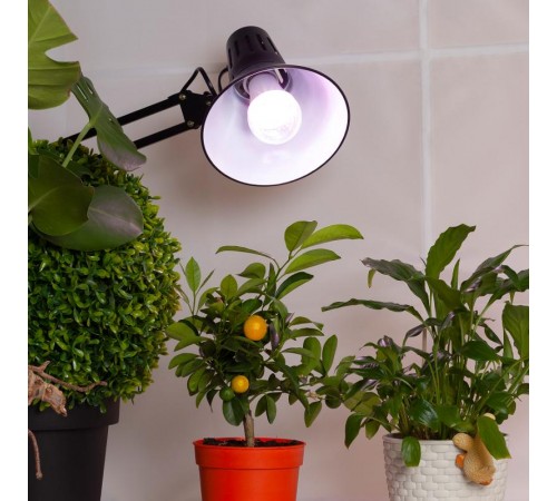 Светильник светодиодный для растений FITO-11W-Ra90-E27  Б0050603  ЭРА