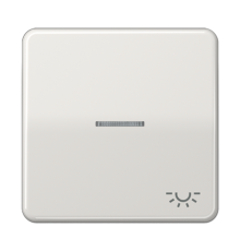 Клавиша с окошком и символом "освещение" для выключателей с подсветкой; светло-серая  CD590KO5LLG  Jung