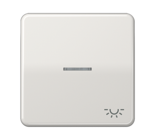 Клавиша с окошком и символом "освещение" для выключателей с подсветкой; светло-серая  CD590KO5LLG  Jung