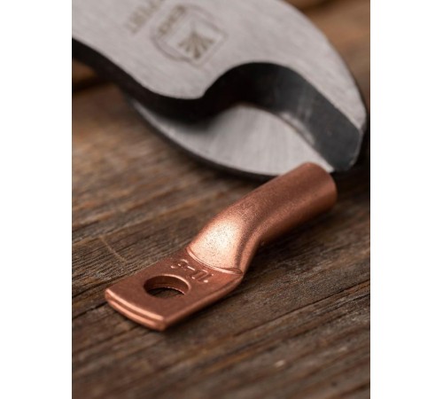 Наконечник медный  ТМ 10-6-5 EKF PROxima  tm-10-6-5  EKF