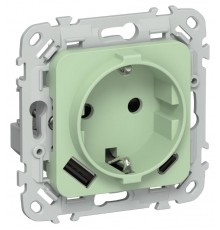 FLITE Розетка с заземлением со шторками 16А с USB A+C 20Вт РСЮшс11-0-ФлФ фисташковый  FI-R14-16-U22-020-K93  IEK