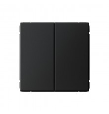 ArtGallery Карбон Выключатель 2-клавишный , 10АХ, механизм, быстрозажим. клем.  GAL001051S  SE