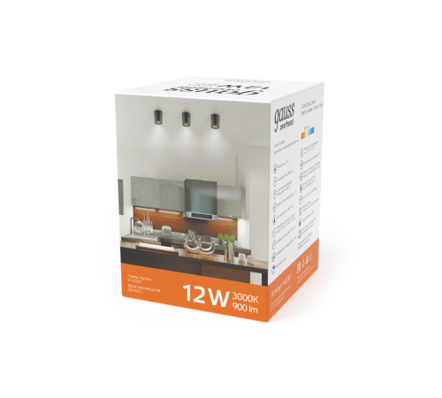 Светильник  Overhead накл цил 12W 900lm 3000K 170-240V IP20 79*100мм черный LED 1/10  HD008  Gauss