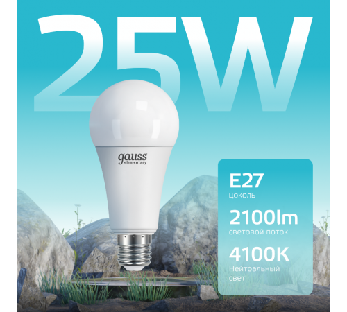 Лампа светодиодная LED 25Вт E27 220В 4100К А67 Elementary  73225  Gauss