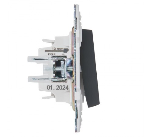 SKANDY Выключатель 1-клавишный проходной 10А SK-V02G графит  SK-V12-0-10-K53  IEK