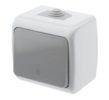 5-103-03 Переключатель, 10А-250В, IP54, ОУ, Atlantic, серый  Б0050942  Intro