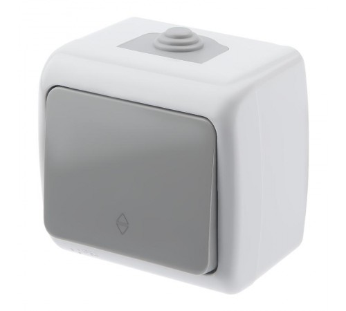 5-103-03 Переключатель, 10А-250В, IP54, ОУ, Atlantic, серый  Б0050942  Intro