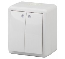 Выключатель 2-клавишный с подсветкой 11-1405-01 IP54, 10АХ-250В, ОУ, Эксперт, Белый (16/160/2560 Б0020677  ЭРА