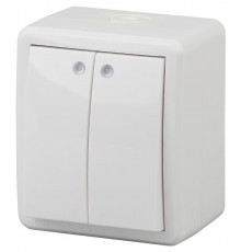 Выключатель 2-клавишный с подсветкой 11-1405-01 IP54, 10АХ-250В, ОУ, Эксперт, Белый (16/160/2560 Б0020677  ЭРА