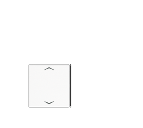 четырехклавишная крышка для KNX, запчасть  A404TSAPWW23 Jung