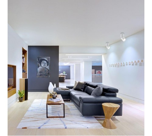 Светильник накладной светодиодный спот AL517, 10W, 800Lm, 4000K, 30 градусов, белый, наклонный  29576  FERON