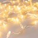 Светодиодная гирлянда ARD-STRING-CLASSIC-10000-CLEAR-100LED-FLASH Warm/Warm (230V, 7W) (Ardecoled, IP65)  025814  Arlight
