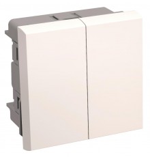 Выключатель двухклавишный на 2 модуля. ВК1-22-00-П  CKK-40D-VD2-K01  IEK