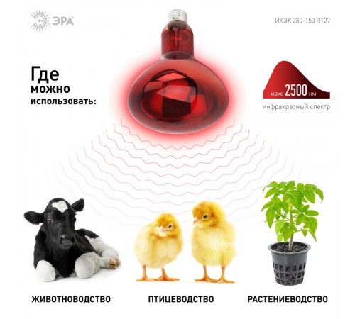 Инфракрасная лампа 150Вт ИКЗК 230-150 R127 Е27 для обогрева животных  Б0055441  ЭРА