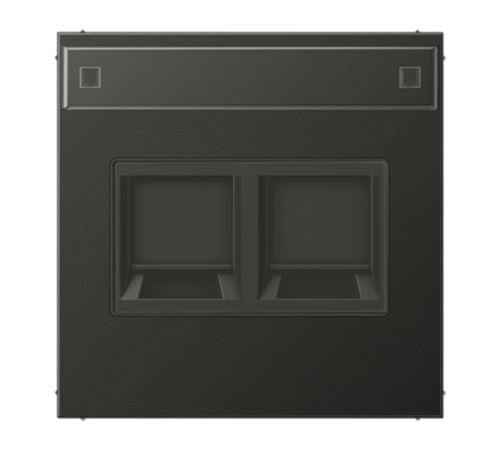 Плата (фиксация защёлкиванием) с полем для надписи для двух модулей; металл; антрацит  AL1969-25NAWEAN  Jung