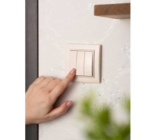 Выключатель 3-кл. СП 10А бежевый Минск EKFERV10-024-20EKF