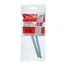 Болт DIN 571 сантехнический оцинк 10х140 (2 шт) - пакет ( 0,141 кг)  113138  Tech-KREP