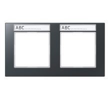 Рамка 2-кратная AC5820BFNAANM Jung