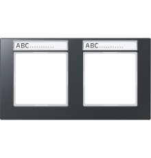 Рамка 2-кратная AC5820BFNAANM Jung