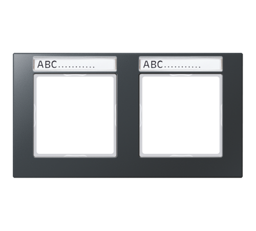 Рамка 2-кратная AC5820BFNAANM Jung