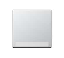 Клавиша с полем для надписи A590BFNAAL Jung