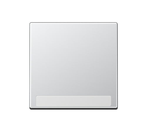 Клавиша с полем для надписи A590BFNAAL Jung