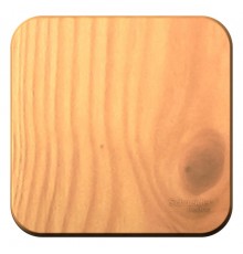 Blanca Ясень О/У с изолирующей пластиной Ясень Переключатель 1-клавишный 10А, 250B  BLNVA106015  SE